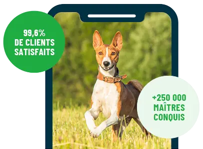 Formation en ligne Esprit Dog Family sur smartphone avec un chien de race Basenji