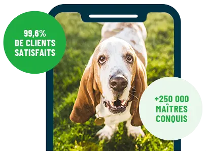 Formation en ligne Esprit Dog Family sur smartphone avec un chien de race Basset Hound
