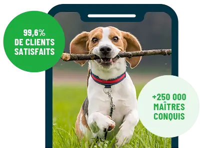 Formation en ligne Esprit Dog Family sur smartphone avec un chien de race Beagle