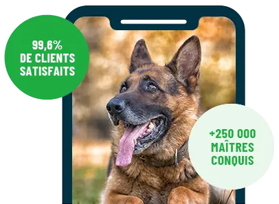 Formation en ligne Esprit Dog Family sur smartphone avec un chien de race Berger Allemand