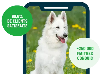 Formation en ligne Esprit Dog Family sur smartphone avec un chien de race Berger Blanc Suisse