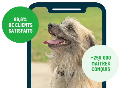 Formation en ligne Esprit Dog Family sur smartphone avec un chien de race Berger des Pyrénées