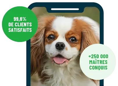 Formation en ligne Esprit Dog Family sur smartphone avec un chien de race Cavalier King Charles