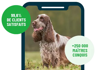 Formation en ligne Esprit Dog Family sur smartphone avec un chien de race Cocker dans un parc