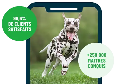 Formation en ligne Esprit Dog Family sur smartphone avec un chien de race Dalmatien