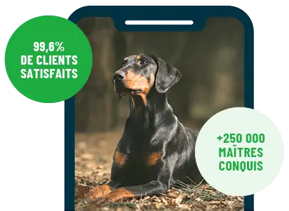 Formation en ligne Esprit Dog Family sur smartphone avec un chien de race Dobermann