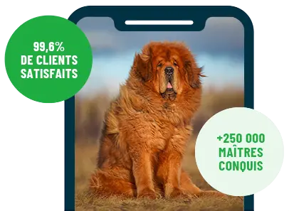 Formation en ligne Esprit Dog Family sur smartphone avec un chien de race Dogue du Tibet