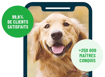 Formation en ligne Esprit Dog Family sur smartphone avec un chien de race Golden Retriever