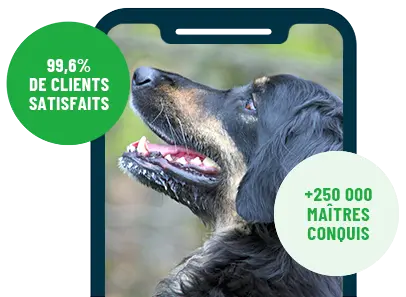 Formation en ligne Esprit Dog Family sur smartphone avec un chien de race Hovawart