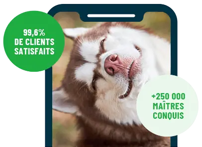 Formation en ligne Esprit Dog Family sur smartphone avec un chien de race Husky