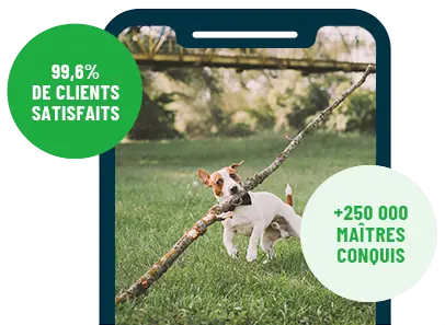 Formation en ligne Esprit Dog Family sur smartphone avec un chien de race Jack Russell qui court avec un grand bâton