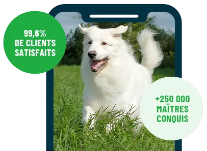 Formation en ligne Esprit Dog Family sur smartphone avec un chien de race Montagne des Pyrénées
