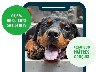 Formation en ligne Esprit Dog Family sur smartphone avec un chien de race Rottweiler