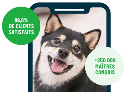 Formation en ligne Esprit Dog Family sur smartphone avec un chien de race Shiba Inu