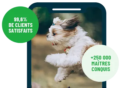 Formation en ligne Esprit Dog Family sur smartphone avec un chien de race Shih Tzu