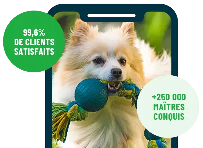 Formation en ligne Esprit Dog Family sur smartphone avec un chien de race Spitz Allemand