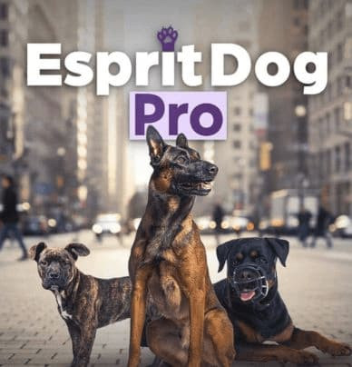 Esprit Dog Pro