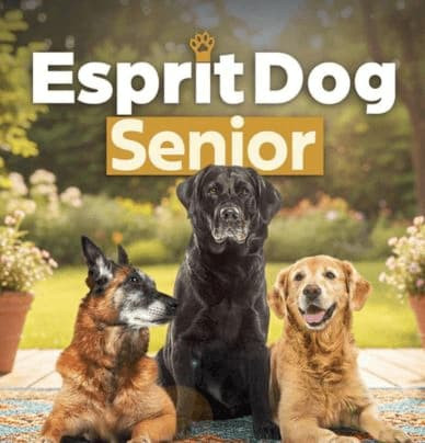 Esprit Dog Senior