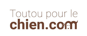 Chien agressif : que faire ?