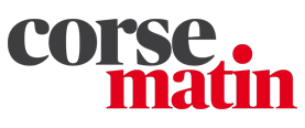 Chiens agressifs : astuces pour mieux gérer leur comportement