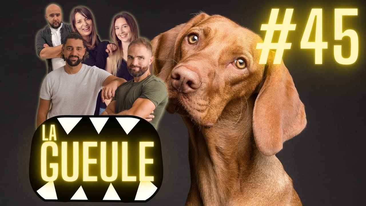 Émission 'La Gueule #45' avec une annonce de partenariat avec une nouvelle marque de croquettes !