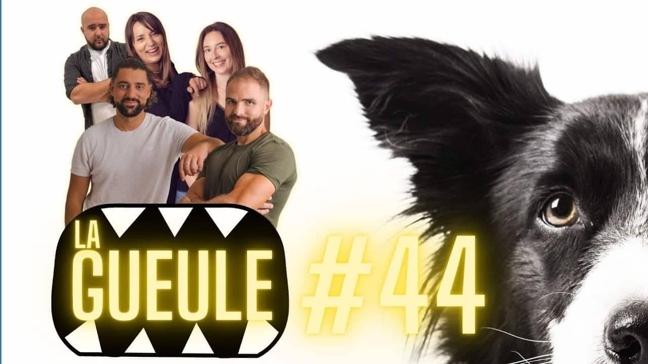 Émission 'La Gueule #44' avec : de l'actu, du chien, et de la bonne humeur !