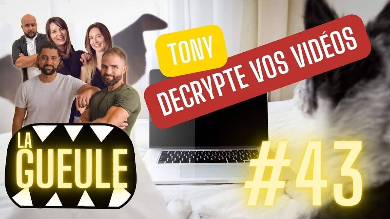 Émission 'La Gueule #43' sur : on décrypte vos vidéos de chiens