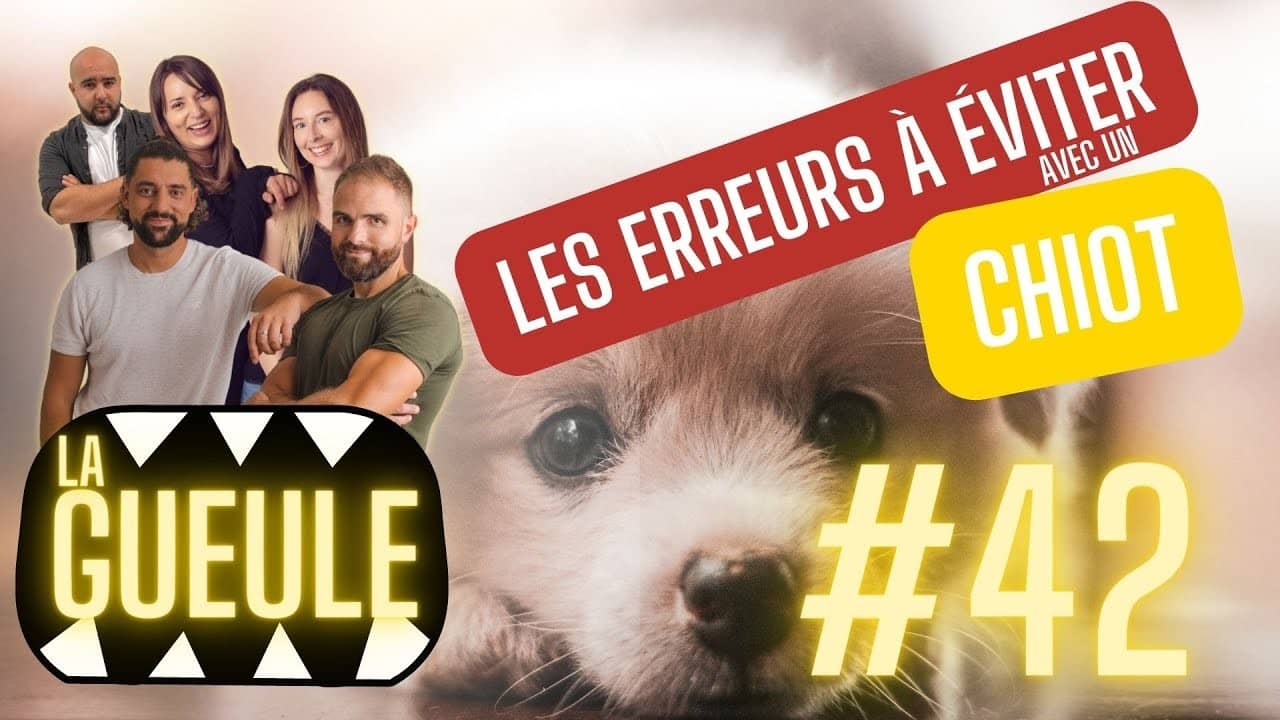 Émission 'La Gueule #42' sur : les erreurs à éviter avec un chiot !