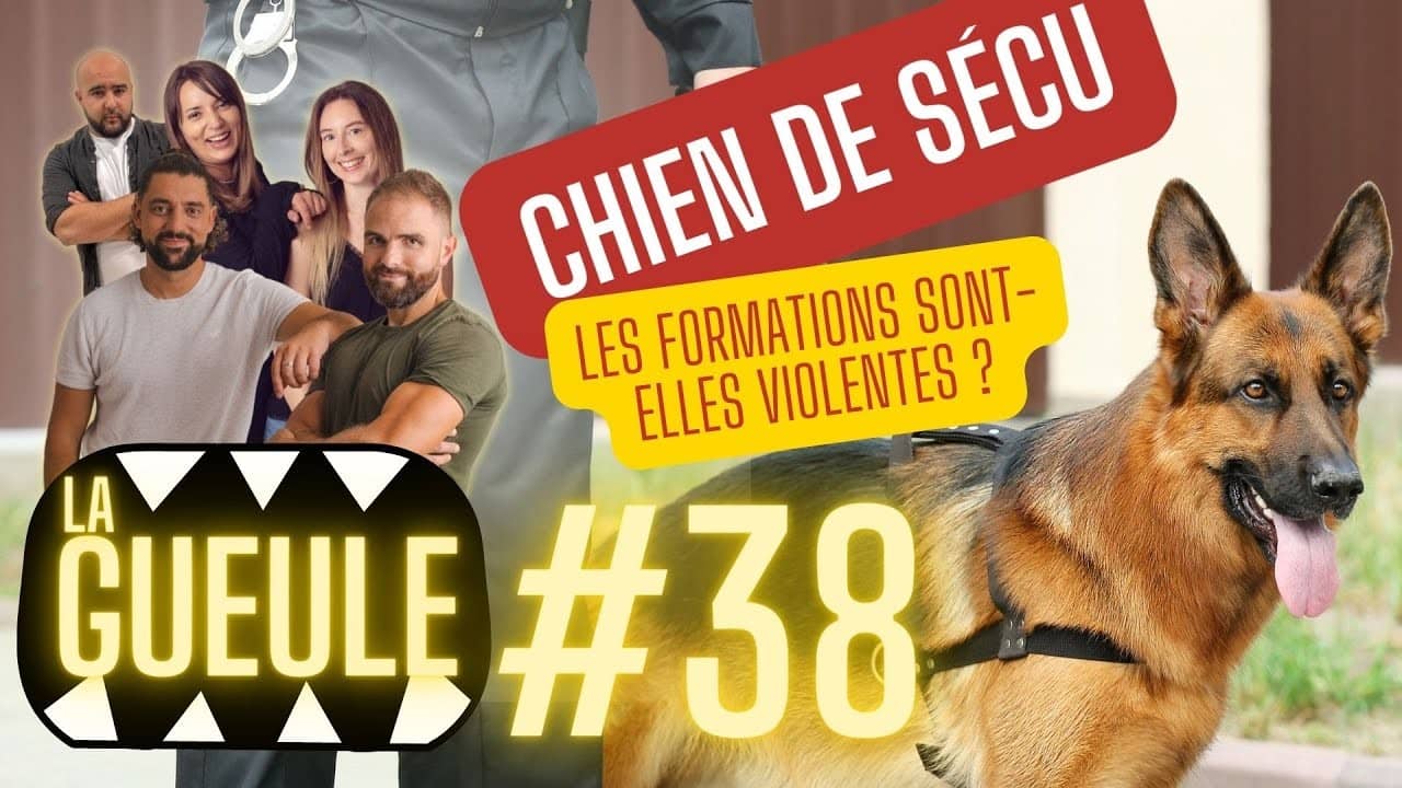 Émission 'La Gueule #38' sur : les chiens de sécu : les formations sont-elles violentes ?