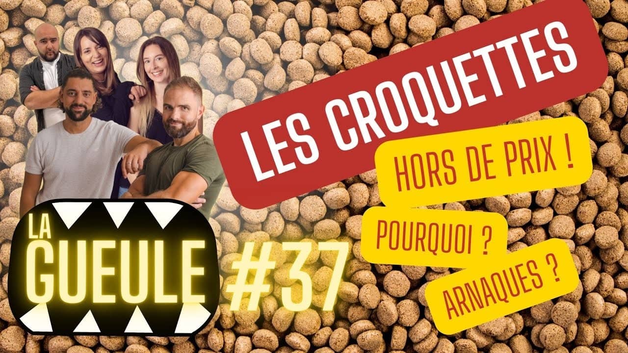 Émission 'La Gueule #37' sur : les croquettes hors de prix ! Pourquoi ? Arnaque ? Astuces ?