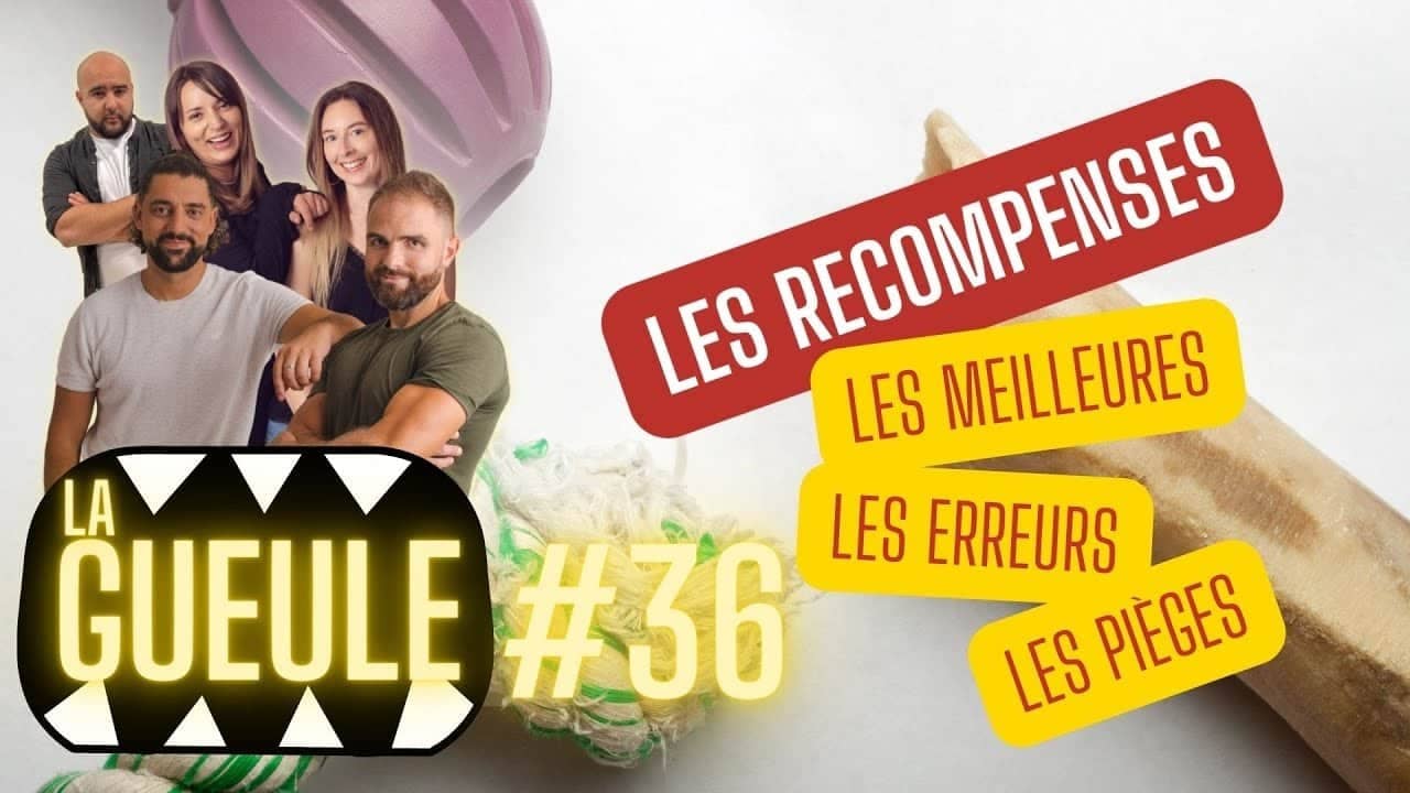 Émission 'La Gueule #36' sur : les récompenses, les meilleures, les pièges !