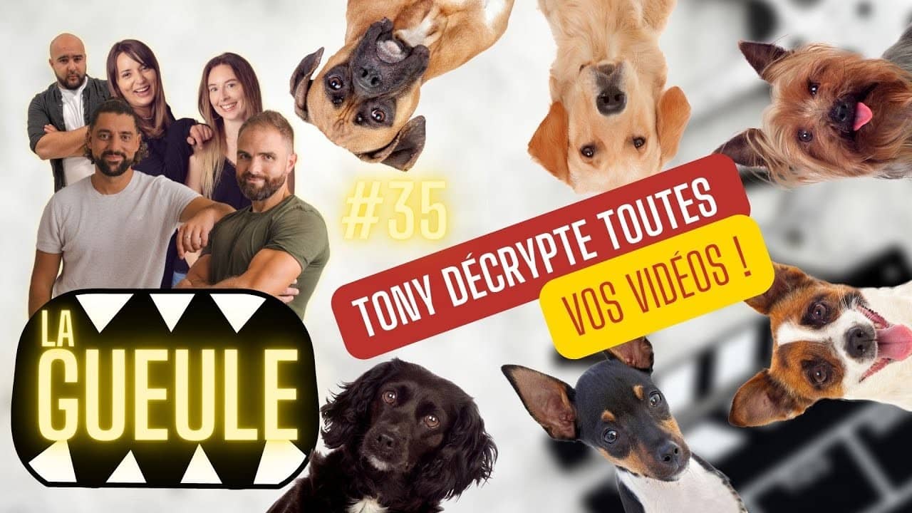 Émission 'La Gueule #35' sur : on décrypte vos vidéos !