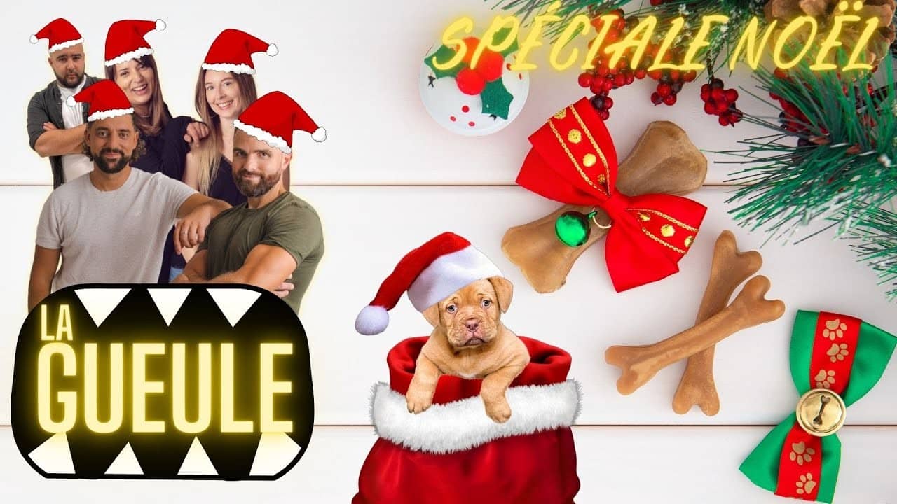 Émission "La Gueule de Noël" sur : des cadeaux, et toutes vos questions d'éducation