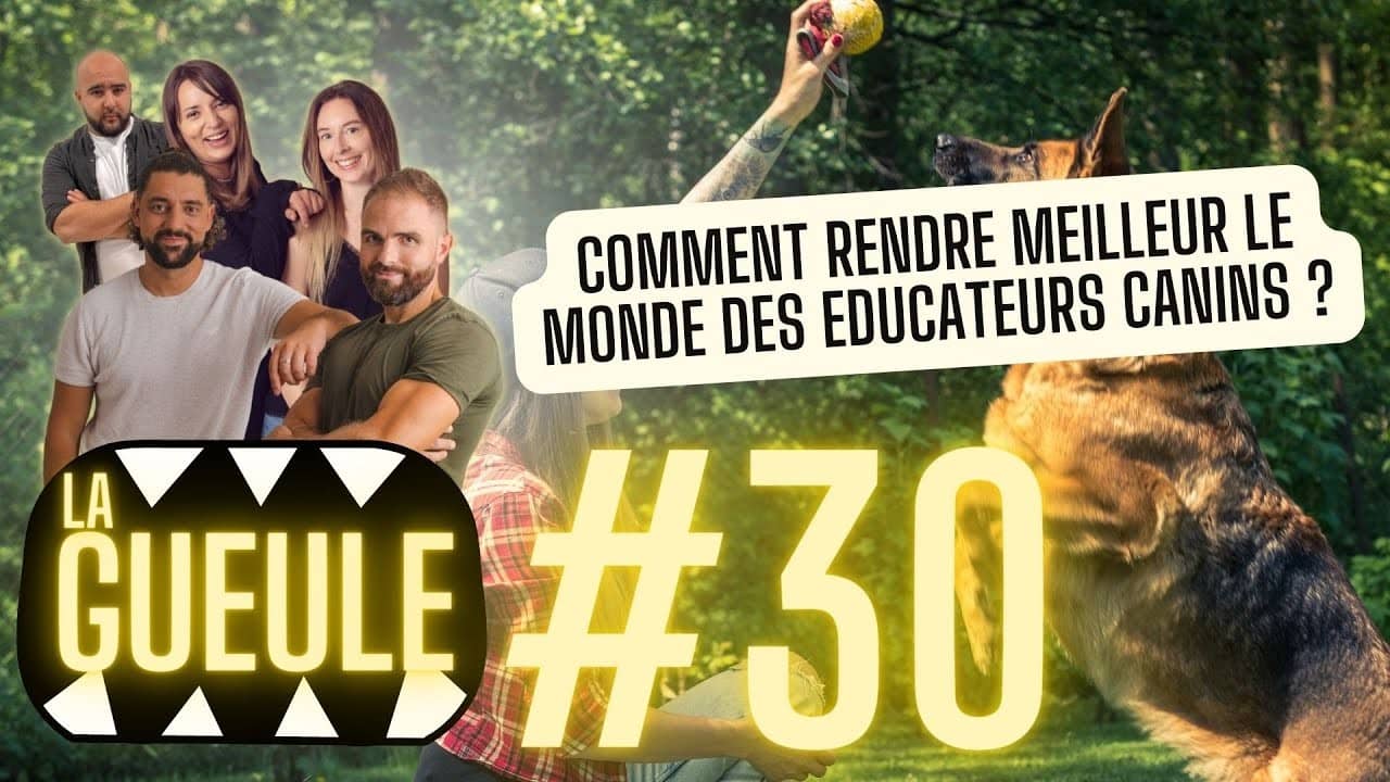 Émission 'La Gueule #30' sur : améliorer le monde des éducateurs canins, l'infection des glandes anales