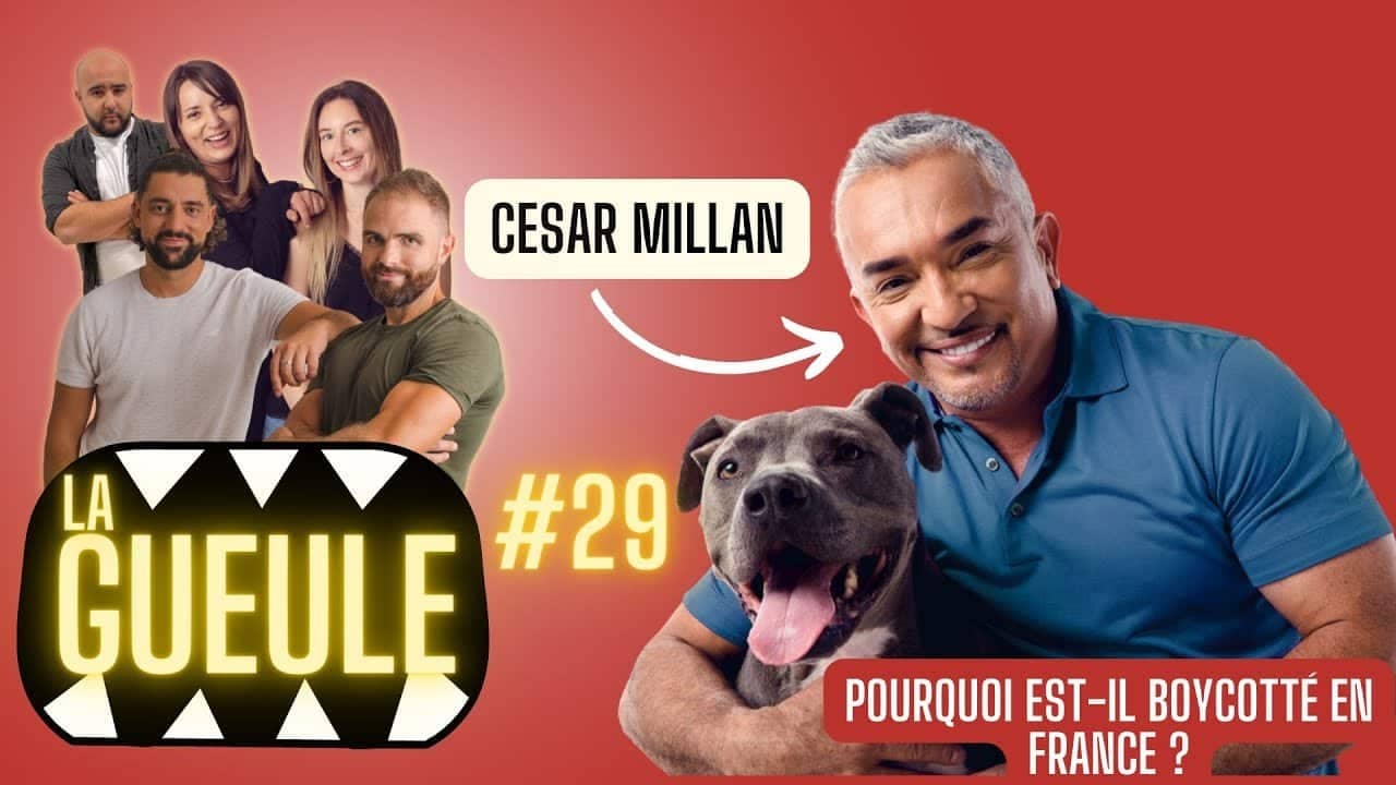 Émission 'La Gueule #29' sur : César MILLAN, chien agressif, actu, l'éducation