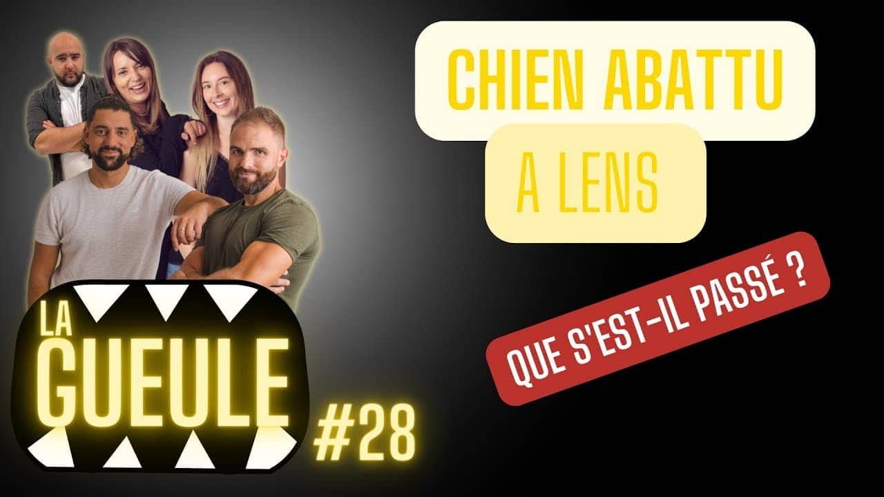 Émission 'La Gueule #28' sur : chien abattu à Lens, que s'est-il passé ?