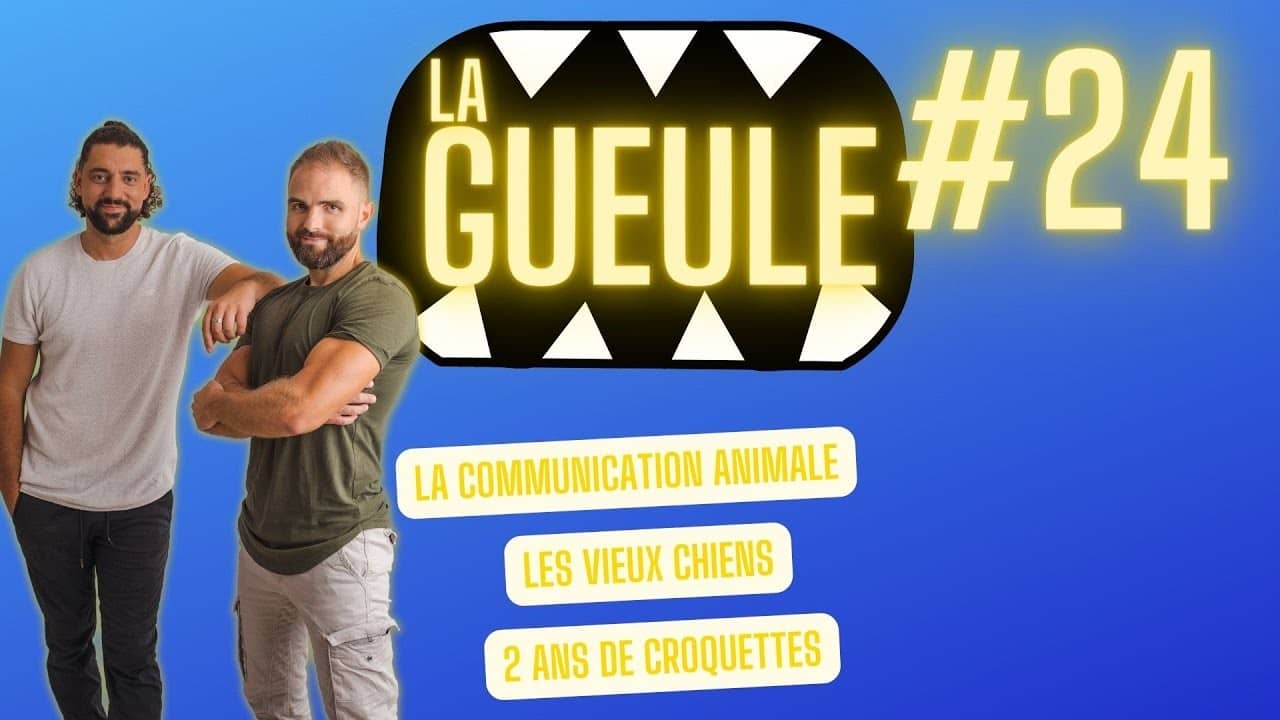 Émission 'La Gueule #24' sur : la communication animale, les vieux chiens, les croquettes