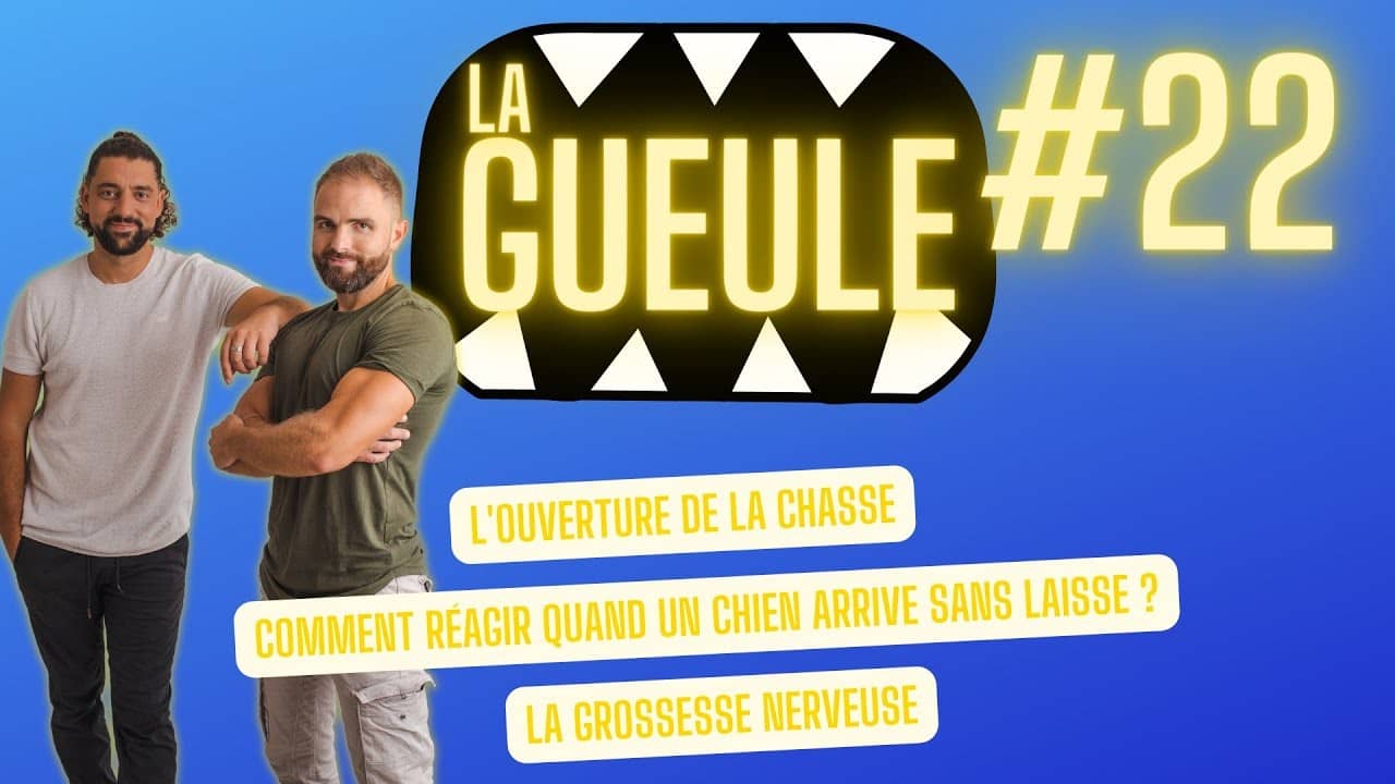 Émission 'La Gueule #22' sur : l'ouverture de la chasse et la grossesse nerveuse