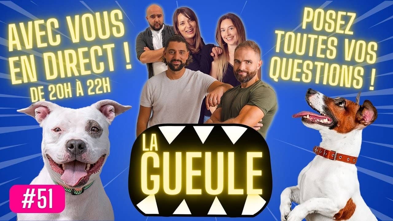 Émission 'La Gueule #51' sur :  actualités, décryptage, éducation et jeu d’intelligence