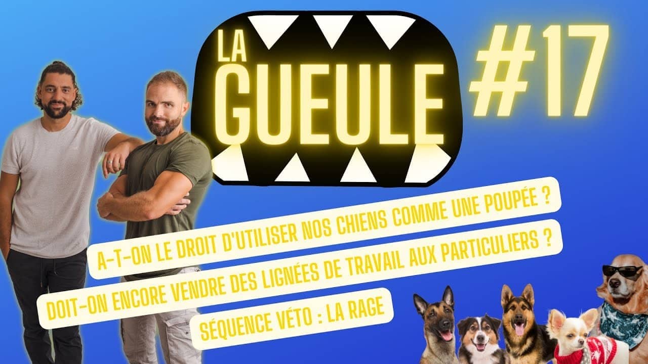 Émission 'La Gueule #17' sur : les lignées de travail, habiller son chien et la rage