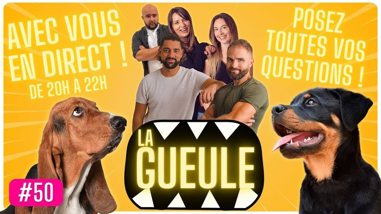Émission 'La Gueule #5' sur : décryptage Dog Daddy, éducation et second chien