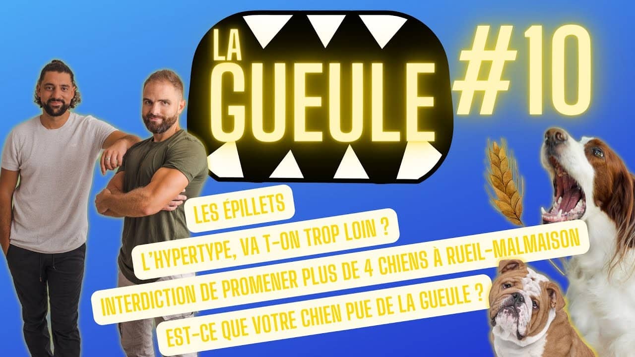 Émission 'La Gueule #10' sur : interdiction de promener plus de 4 chiens
