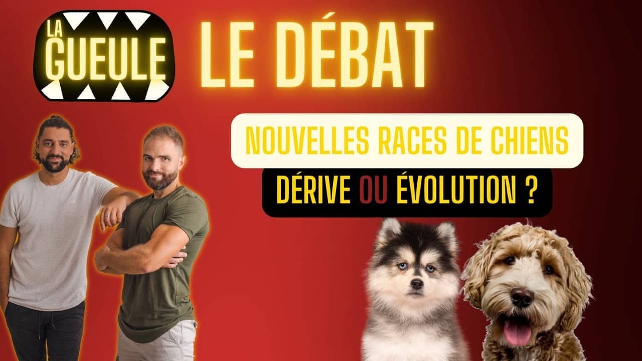 Émission La Gueule : nouvelles races de chiens : dérive ou évolution ?