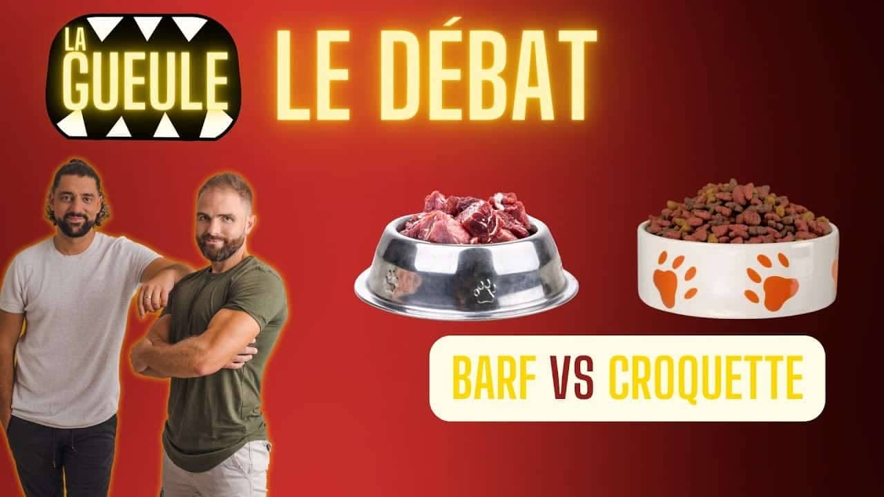 Émission La Gueule : débat BARF vs Croquettes
