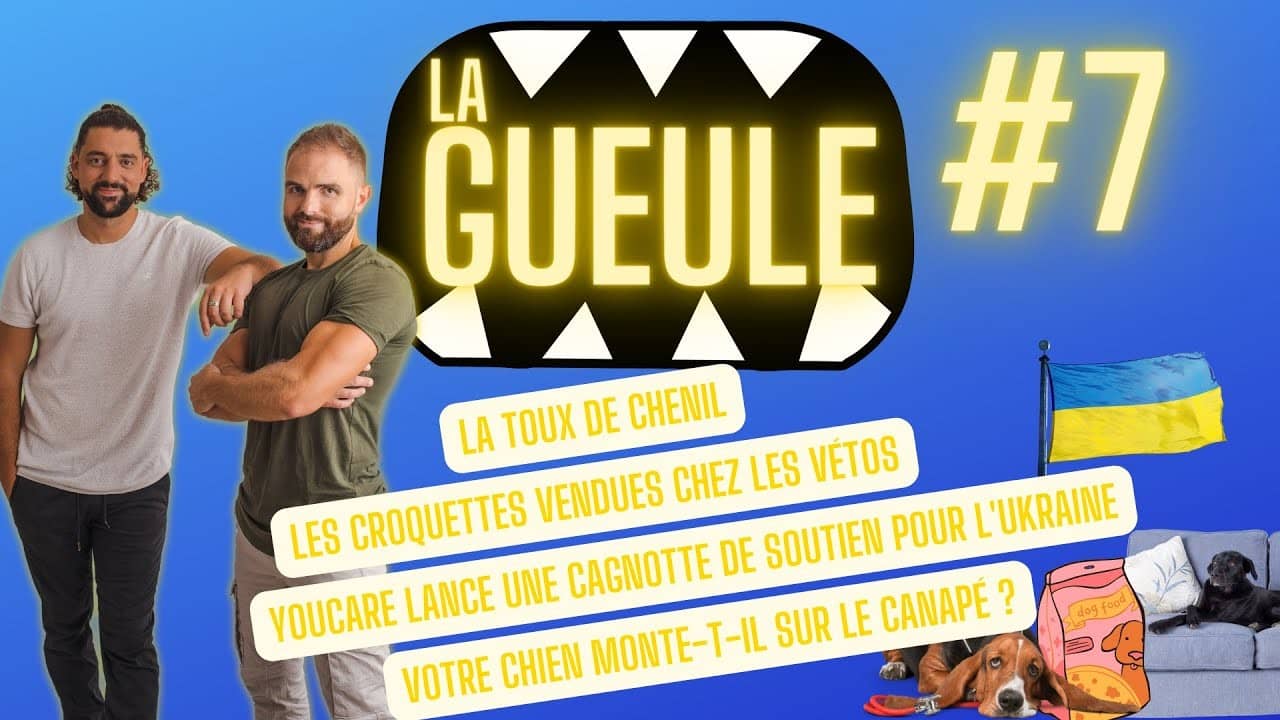 Émission 'La Gueule #7' sur : la toux de chenil, les croquettes de vétérinaires, les chiens qui montent sur le canapé
