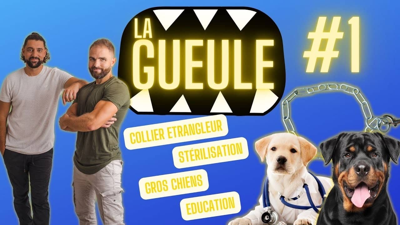 La Gueule #1 – Collier ETRANGLEUR, gros chiens et stérilisation