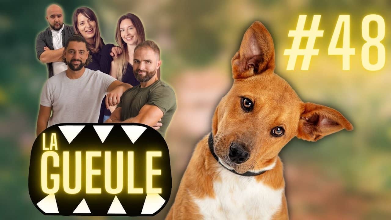 Émission 'La Gueule #48' avec actu, décryptages, bons plans, bonne humeur et chien !