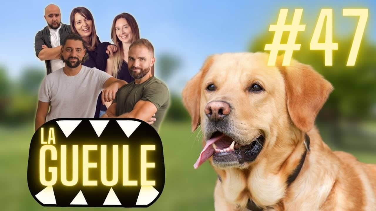Émission 'La Gueule #47' sur : maltraitance dans une association canine, griffes cassées et éducation