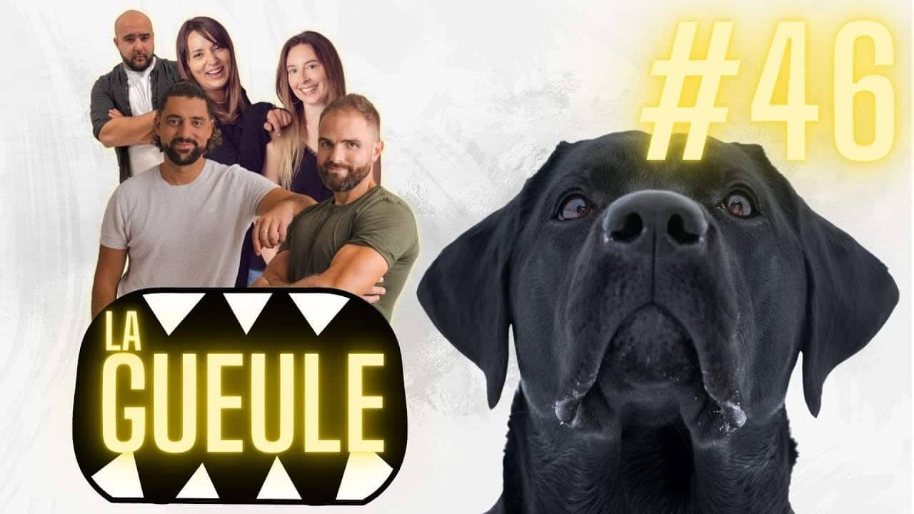 Émission 'La Gueule #46' avec une grande nouvelle pour nos formations et on répond à vos questions