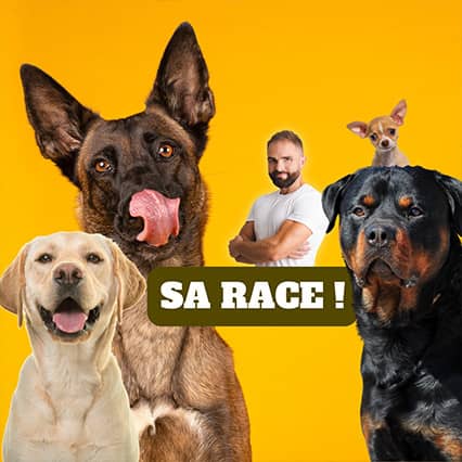 Podcast Sa Race sur le Staffie
